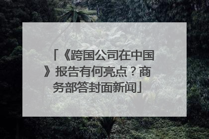 《跨国公司在中国》报告有何亮点？商务部答封面新闻
