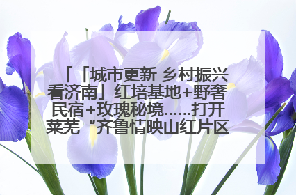 「城市更新 乡村振兴看济南」红培基地+野奢民宿+玫瑰秘境……打开莱芜“齐鲁情映山红片区”的破圈秘籍