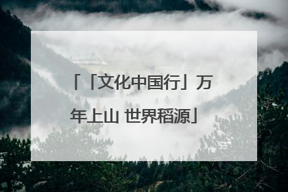 「文化中国行」万年上山 世界稻源