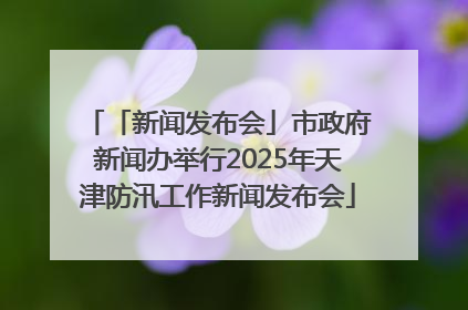 「新闻发布会」市政府新闻办举行2025年天津防汛工作新闻发布会