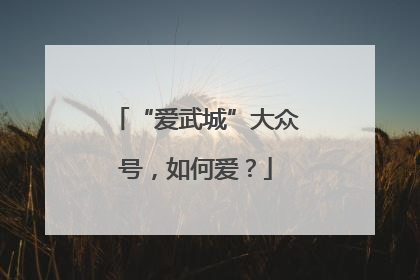 “爱武城”大众号，如何爱？
