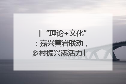“理论+文化”：嘉兴黄岩联动，乡村振兴添活力