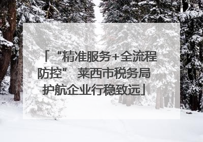 “精准服务+全流程防控” 莱西市税务局护航企业行稳致远