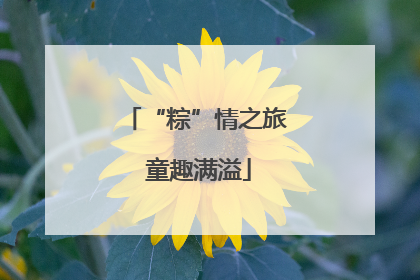 “粽”情之旅 童趣满溢