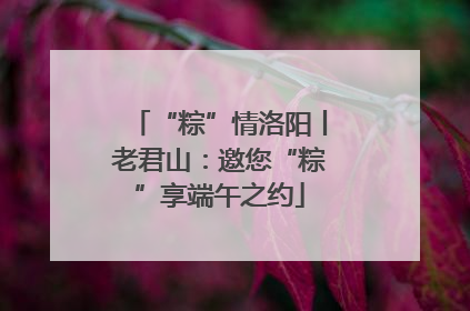 “粽”情洛阳丨老君山：邀您“粽”享端午之约