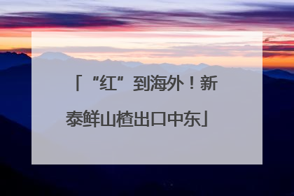 “红”到海外！新泰鲜山楂出口中东