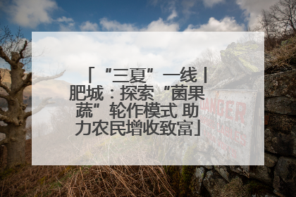 “三夏”一线丨肥城：探索“菌果蔬”轮作模式 助力农民增收致富
