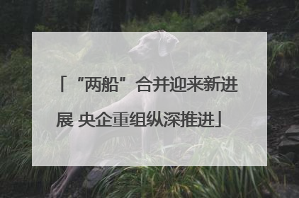 “两船”合并迎来新进展 央企重组纵深推进