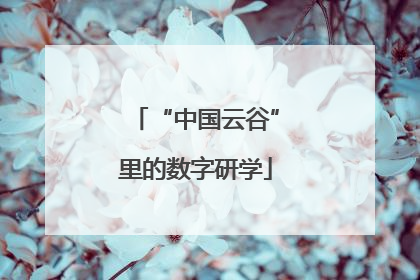 “中国云谷”里的数字研学