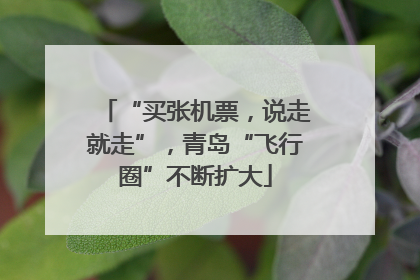 “买张机票，说走就走”，青岛“飞行圈”不断扩大