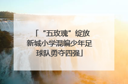 “五玫瑰”绽放 新城小学混编少年足球队勇夺四强