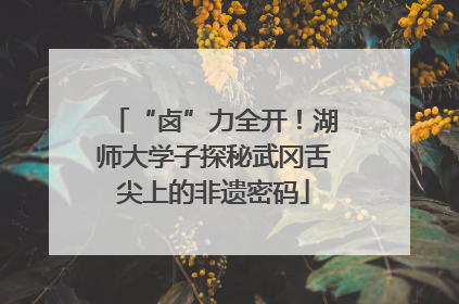 “卤”力全开！湖师大学子探秘武冈舌尖上的非遗密码