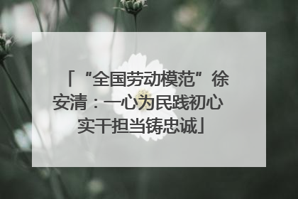 “全国劳动模范”徐安清：一心为民践初心 实干担当铸忠诚