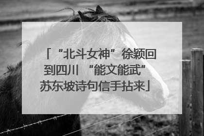 “北斗女神”徐颖回到四川 “能文能武”苏东坡诗句信手拈来