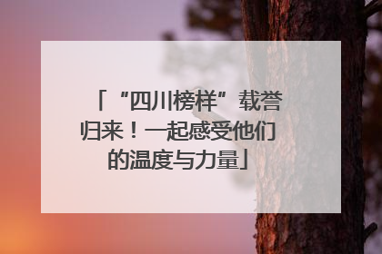 “四川榜样”载誉归来！一起感受他们的温度与力量
