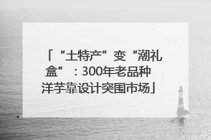 “土特产”变“潮礼盒”：300年老品种洋芋靠设计突围市场