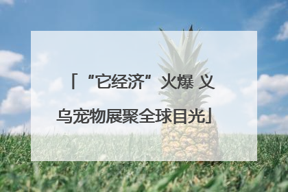 “它经济”火爆 义乌宠物展聚全球目光