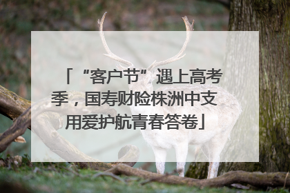 “客户节”遇上高考季，国寿财险株洲中支用爱护航青春答卷