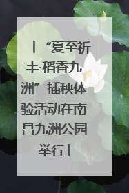 “夏至祈丰·稻香九洲”插秧体验活动在南昌九洲公园举行