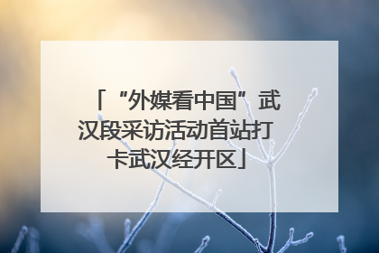 “外媒看中国”武汉段采访活动首站打卡武汉经开区