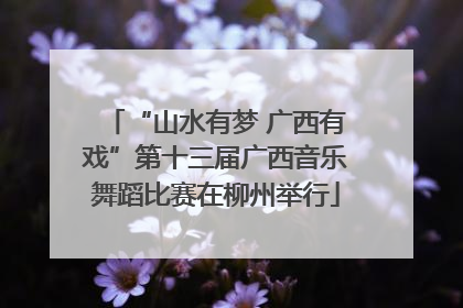 “山水有梦 广西有戏”第十三届广西音乐舞蹈比赛在柳州举行