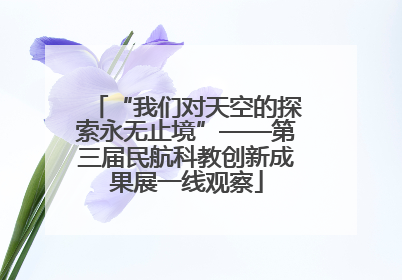 “我们对天空的探索永无止境”——第三届民航科教创新成果展一线观察
