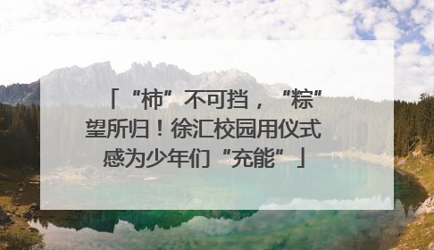 “柿”不可挡，“粽”望所归！徐汇校园用仪式感为少年们“充能”