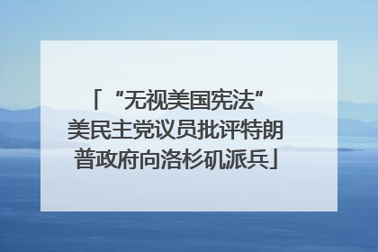 “无视美国宪法” 美民主党议员批评特朗普政府向洛杉矶派兵