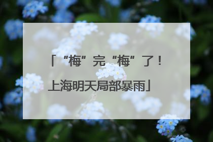 “梅”完“梅”了！上海明天局部暴雨