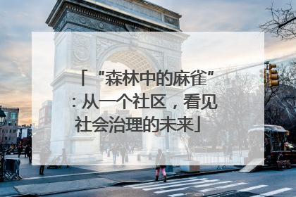 “森林中的麻雀”：从一个社区，看见社会治理的未来