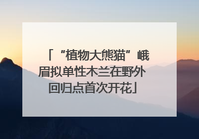 “植物大熊猫”峨眉拟单性木兰在野外回归点首次开花