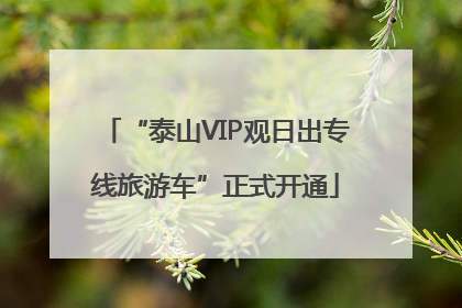 “泰山VIP观日出专线旅游车”正式开通