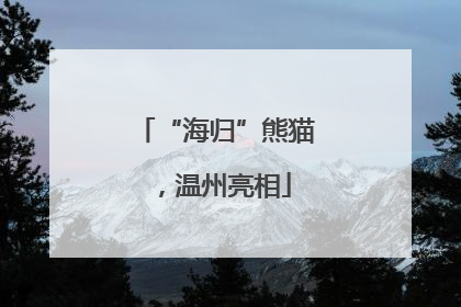 “海归”熊猫，温州亮相
