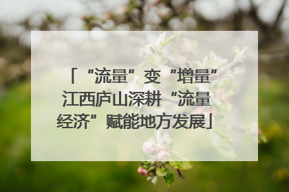 “流量”变“增量” 江西庐山深耕“流量经济”赋能地方发展