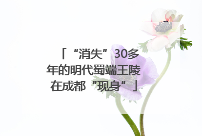 “消失”30多年的明代蜀端王陵在成都“现身”
