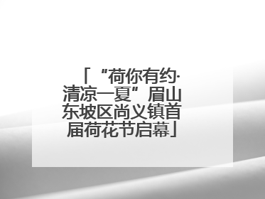 “荷你有约·清凉一夏”眉山东坡区尚义镇首届荷花节启幕
