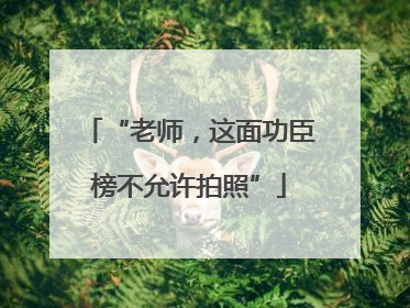 “老师，这面功臣榜不允许拍照”