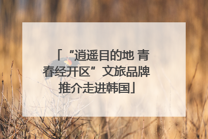 “逍遥目的地 青春经开区”文旅品牌推介走进韩国