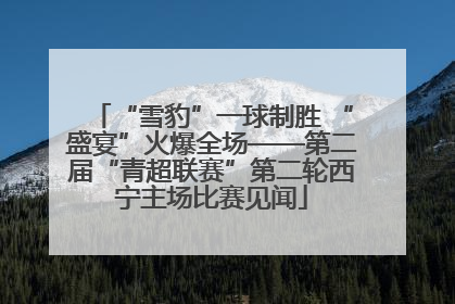 “雪豹”一球制胜 “盛宴”火爆全场——第二届“青超联赛”第二轮西宁主场比赛见闻