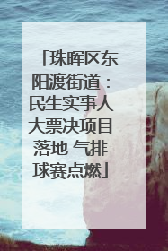 珠晖区东阳渡街道：民生实事人大票决项目落地 气排球赛点燃