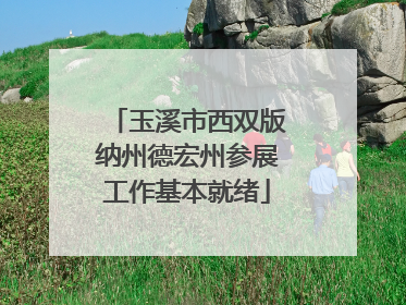 玉溪市西双版纳州德宏州参展工作基本就绪