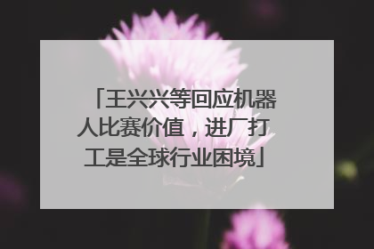 王兴兴等回应机器人比赛价值，进厂打工是全球行业困境