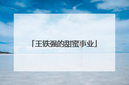 王铁强的甜蜜事业
