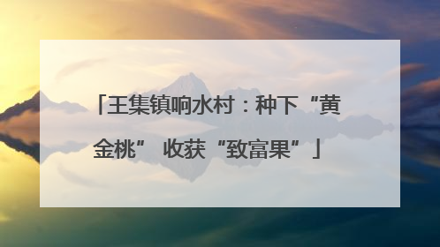 王集镇响水村：种下“黄金桃” 收获“致富果”