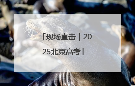 现场直击｜2025北京高考