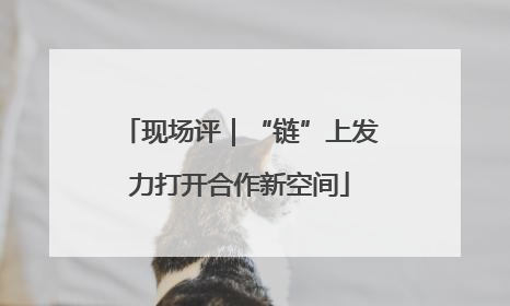 现场评｜“链”上发力打开合作新空间