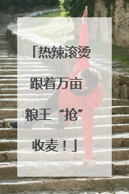 热辣滚烫 跟着万亩粮王“抢”收麦！