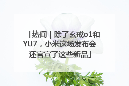热闻｜除了玄戒o1和YU7，小米这场发布会还官宣了这些新品