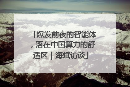 爆发前夜的智能体，落在中国算力的舒适区｜海斌访谈