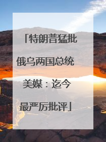 特朗普猛批俄乌两国总统 美媒：迄今最严厉批评